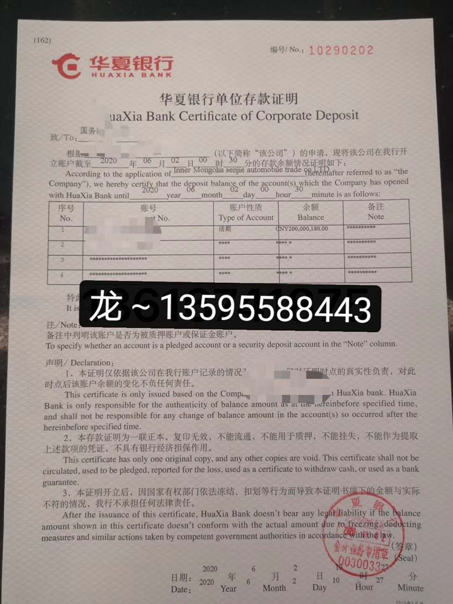 沈阳摆账亮资验资成功案例(图11)